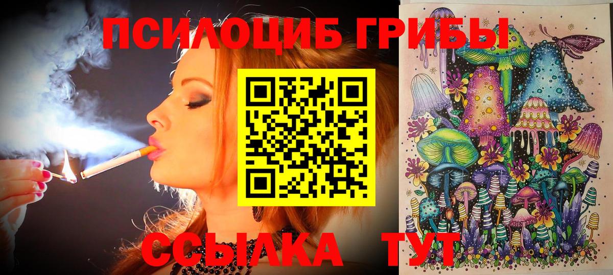 Галлюциногенные грибы Psilocybine cubensis  Вход с VPN  Аргун  Псилоцибиновые грибы ЛСД 