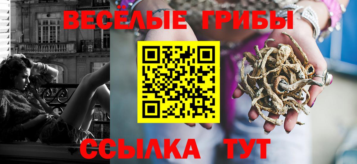 Псилоцибиновые грибы Magic Shrooms Аргун